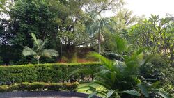 Ridout Road (D10), Detached #497030491